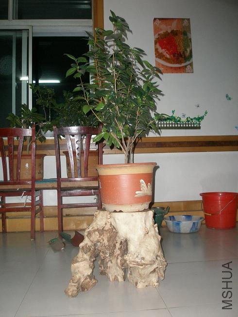 P1014756.JPG