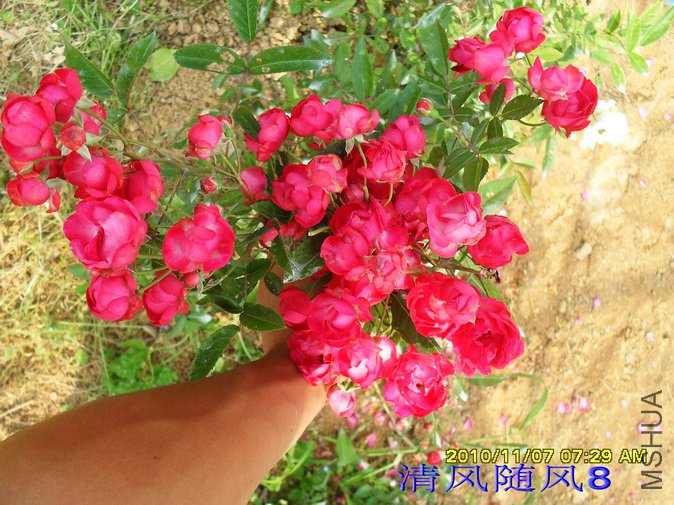 ���˹�� (1).jpg