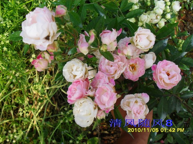 �ۿ�˹��1 (2).jpg