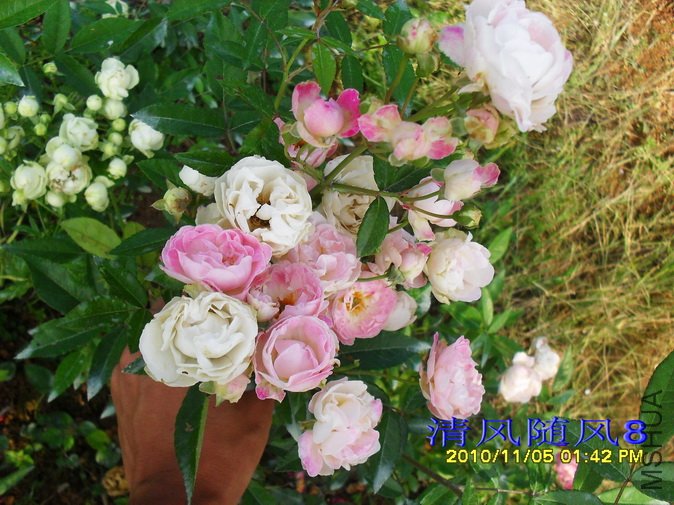 �ۿ�˹��1 (3).jpg