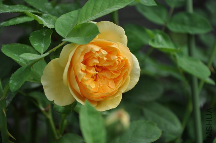 2011.9.3 019����˹.jpg