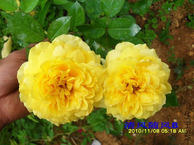 �����ǲ����1 (3).jpg