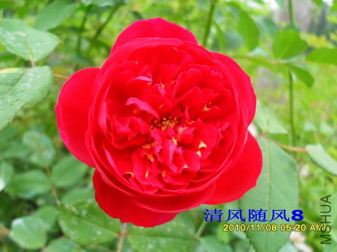 ����������� (2).jpg