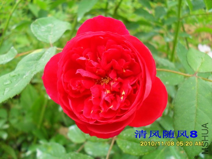 ����������� (3).jpg