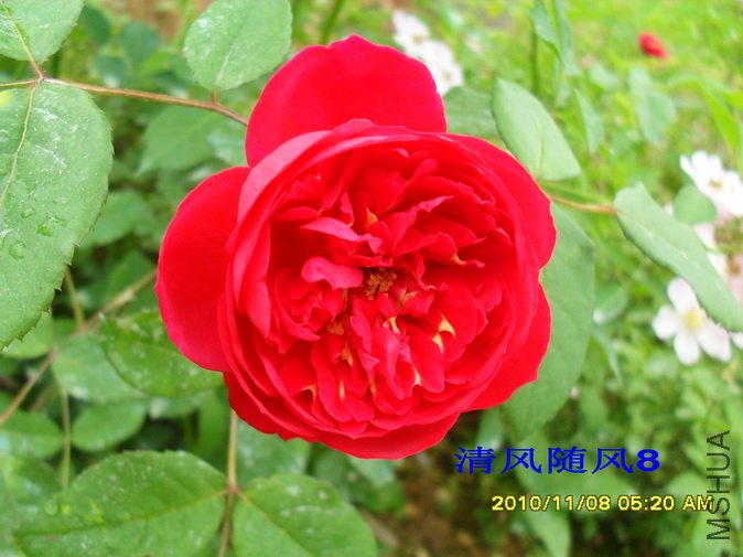 ����������� (4).jpg