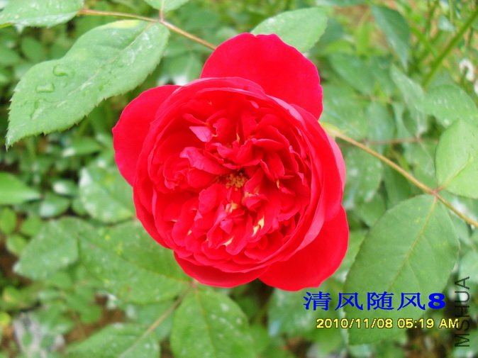 ����������� (5).jpg