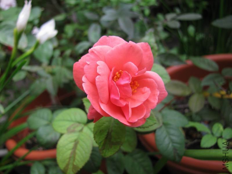 110905�¼�2.JPG