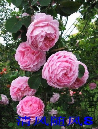 ���������3 (3).jpg