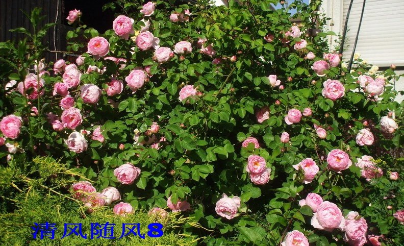 ���������3 (1).jpg