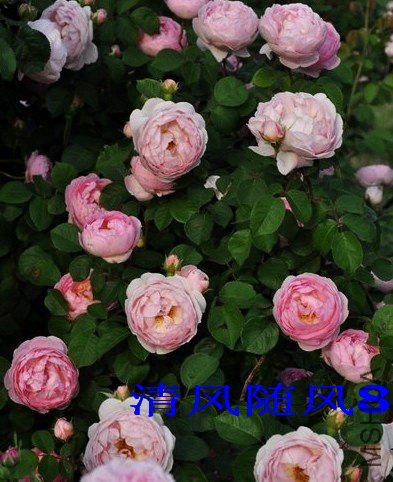 ���������3 (2).jpg