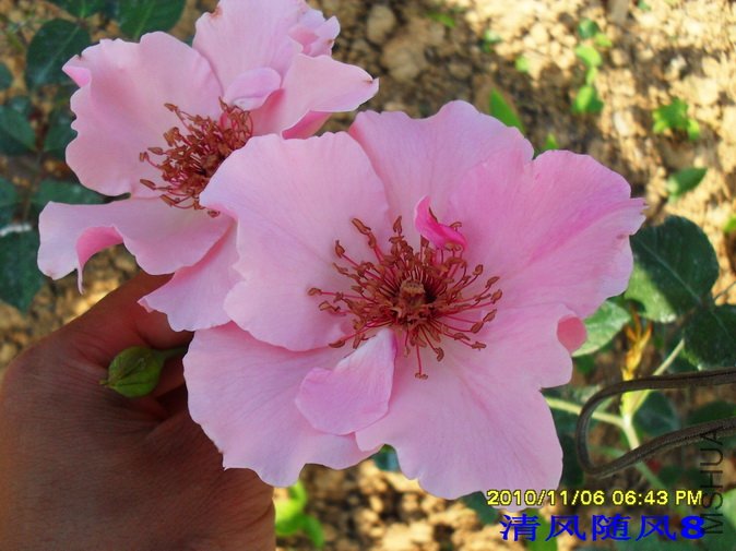 ������˿1 (8).jpg