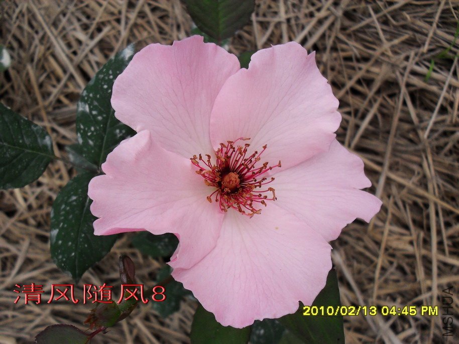 ������˿11 (7).jpg