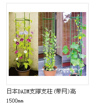 ֧������