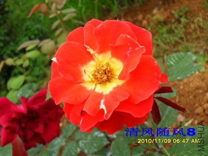 ʷ����ǿɭ2 (3).jpg