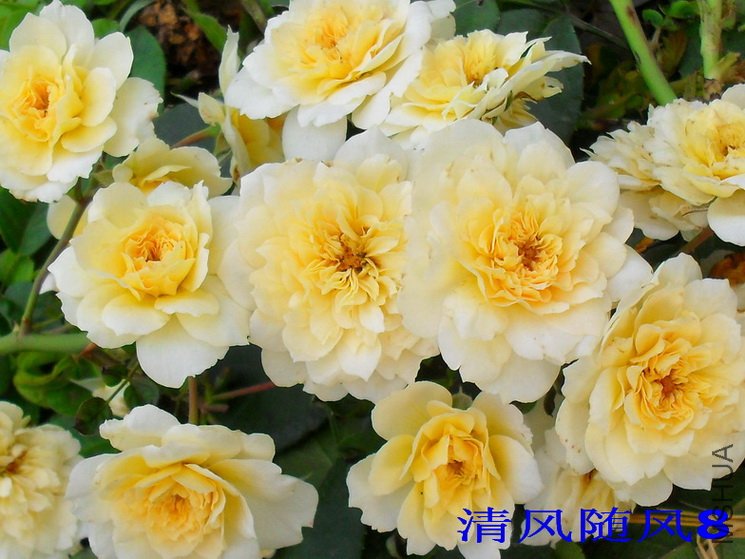 ���˰������İ�� (21).jpg