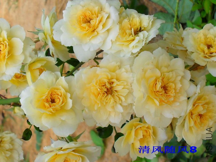 ���˰������İ�� (22).jpg