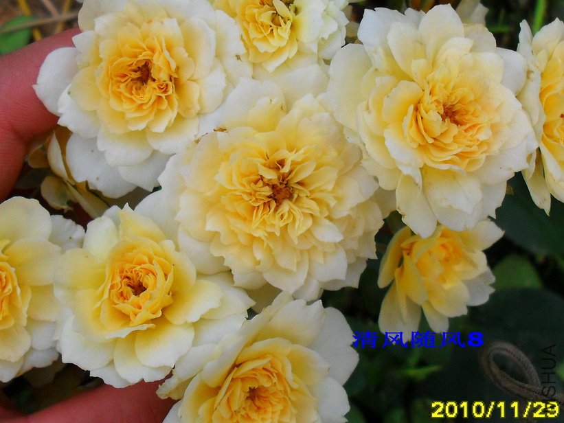 ���˰������İ�� (23).jpg