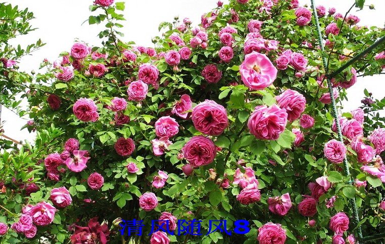 �������׷���11 (2).jpg