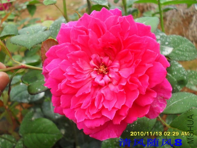 �շƵ�õ��2 (3).jpg