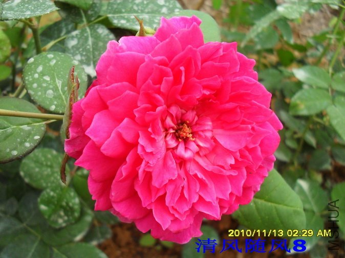 �շƵ�õ��2 (5).jpg