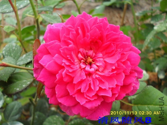 �շƵ�õ��2 (6).jpg