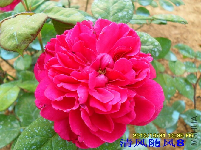 �շƵ�õ��2 (1).jpg