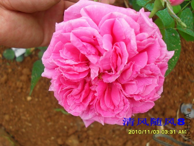 ���¼�1 (1).jpg