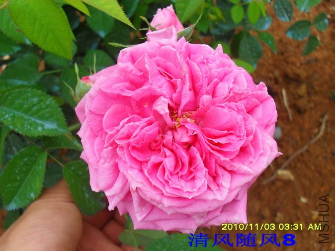 ���¼�1 (2).jpg