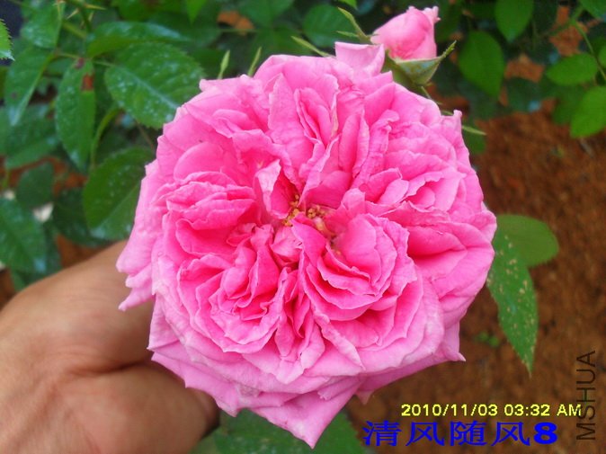 ���¼�1 (3).jpg