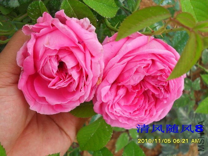 ���¼�1 (4).jpg