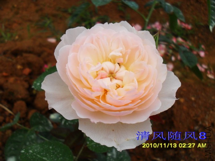 �ºͺ��� (Gentle Hermione) (3).jpg