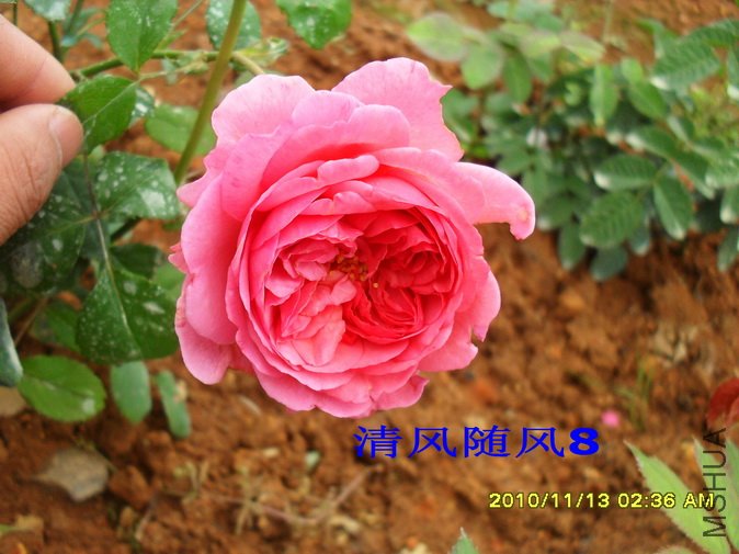 ���ع��� (3).jpg