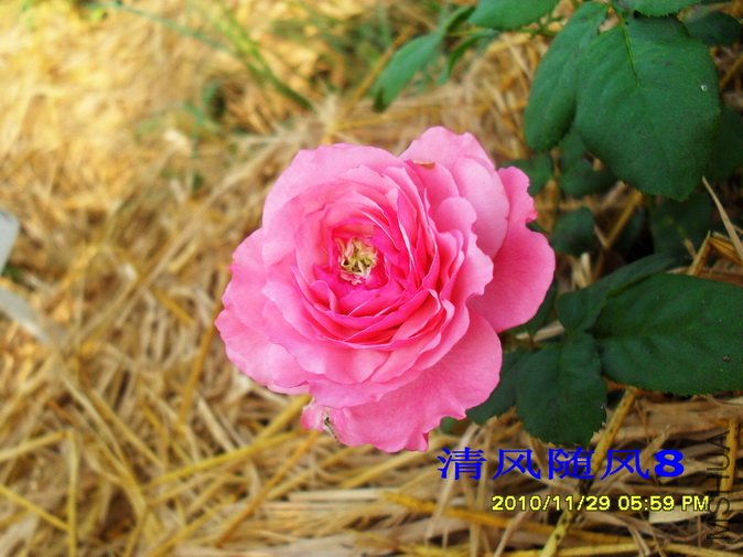 �ӰͶȷ��� (8).jpg