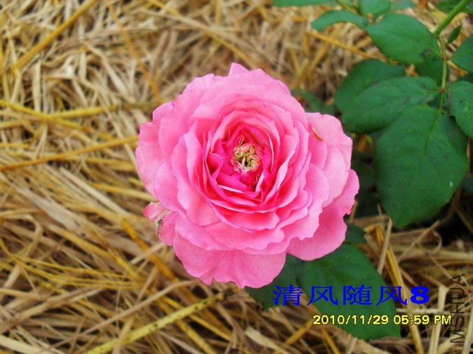 �ӰͶȷ��� (9).jpg