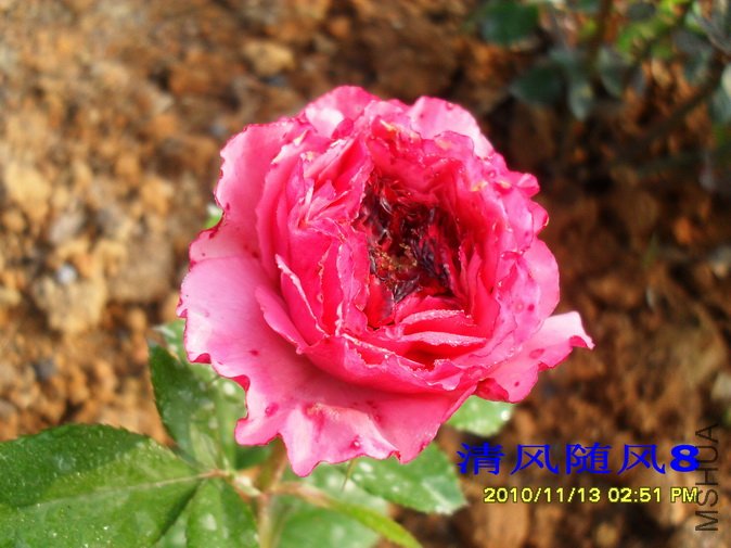 �ӰͶȷ��� (1).jpg