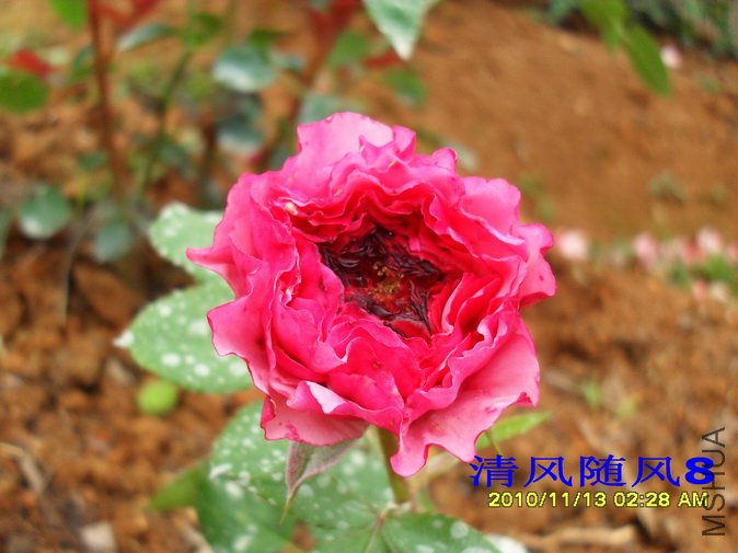 �ӰͶȷ��� (10).jpg