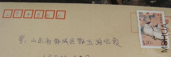 DSC04516.jpg