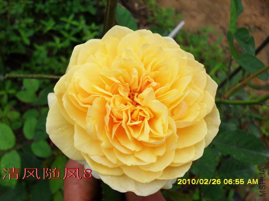 ���׺�ķ.����˹11 (4).jpg