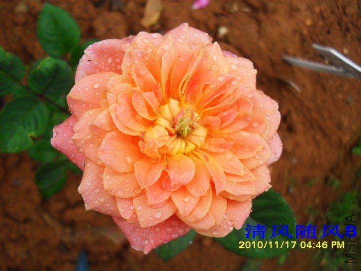 ӡ���� (THE IMPRESSIONIST) (2).jpg