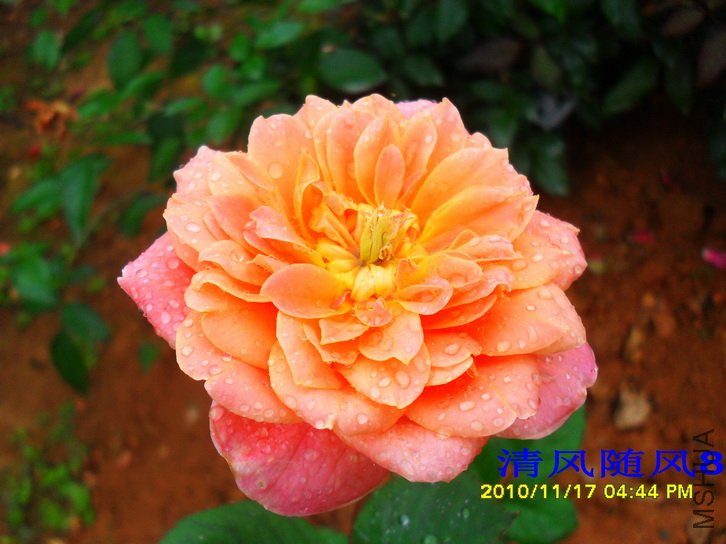 ӡ���� (THE IMPRESSIONIST) (3).jpg