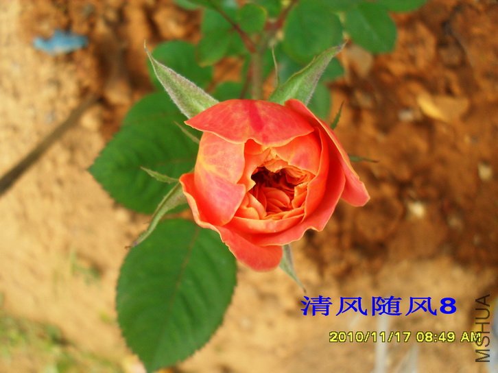 ӡ���� (THE IMPRESSIONIST) (4).jpg