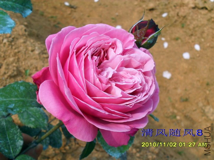 Ŧ������ (7).jpg