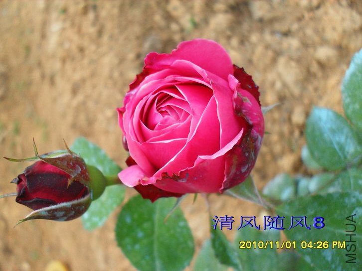 Ŧ������ (6).jpg