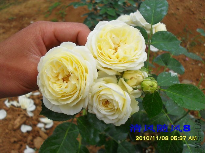 ������2 (7).jpg