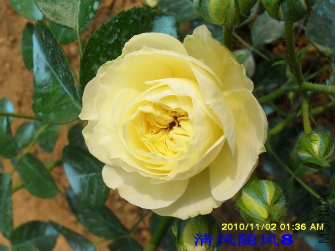 ������2 (12).jpg