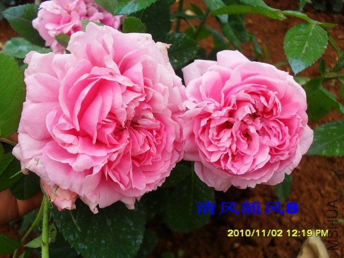 �в��²���1 (4).jpg