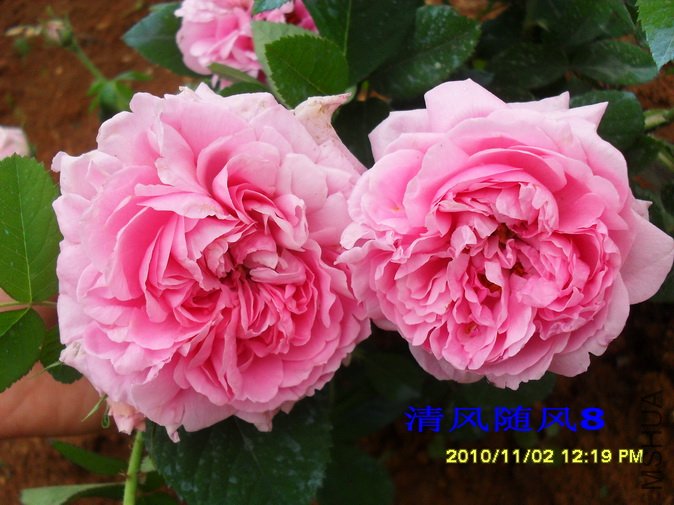 �в��²���1 (6).jpg