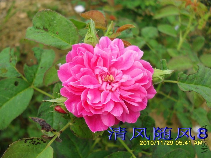 ���׶��� (1).jpg