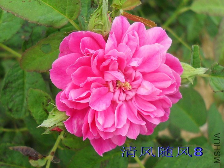 ���׶��� (3).jpg