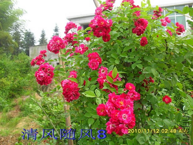 ���Ϻ����� (4).jpg